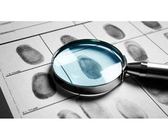 Investigador En Cordoba Veracruz