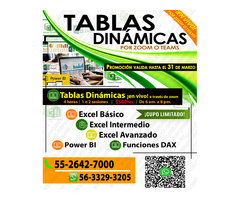 Curso de Tablas DinÁMicas por Zoom en Vivo $500