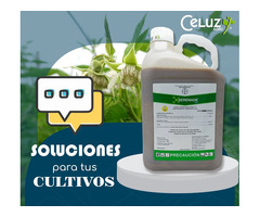 SERENADE ASO (producto para el campo)