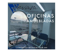 Oficinas Cevam 8 Sucursales